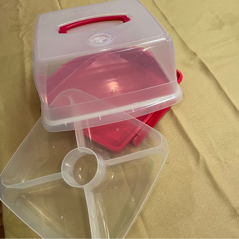 Vegetable Snack Dessert Carrier Lock N Lock QVC Locking Lid w/ Removable Insert